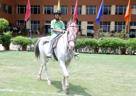 6. HORSE RIDING(1) copy