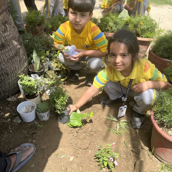 3. PLANTATION DRIVE(1)