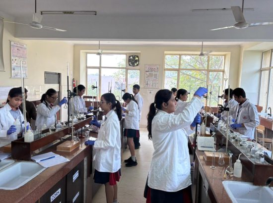 WhatsApp Image 2025-11-03 at 9.52.05 PM